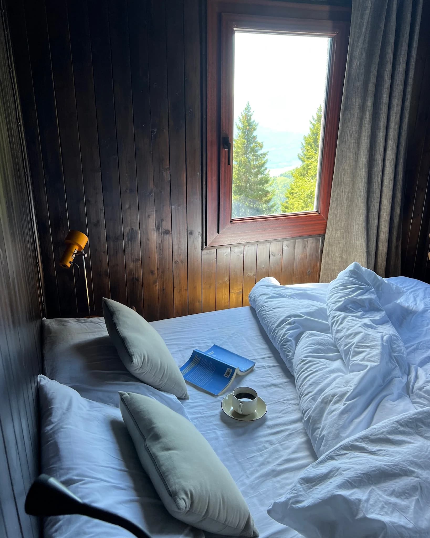 Bed nook with mountain view from the window