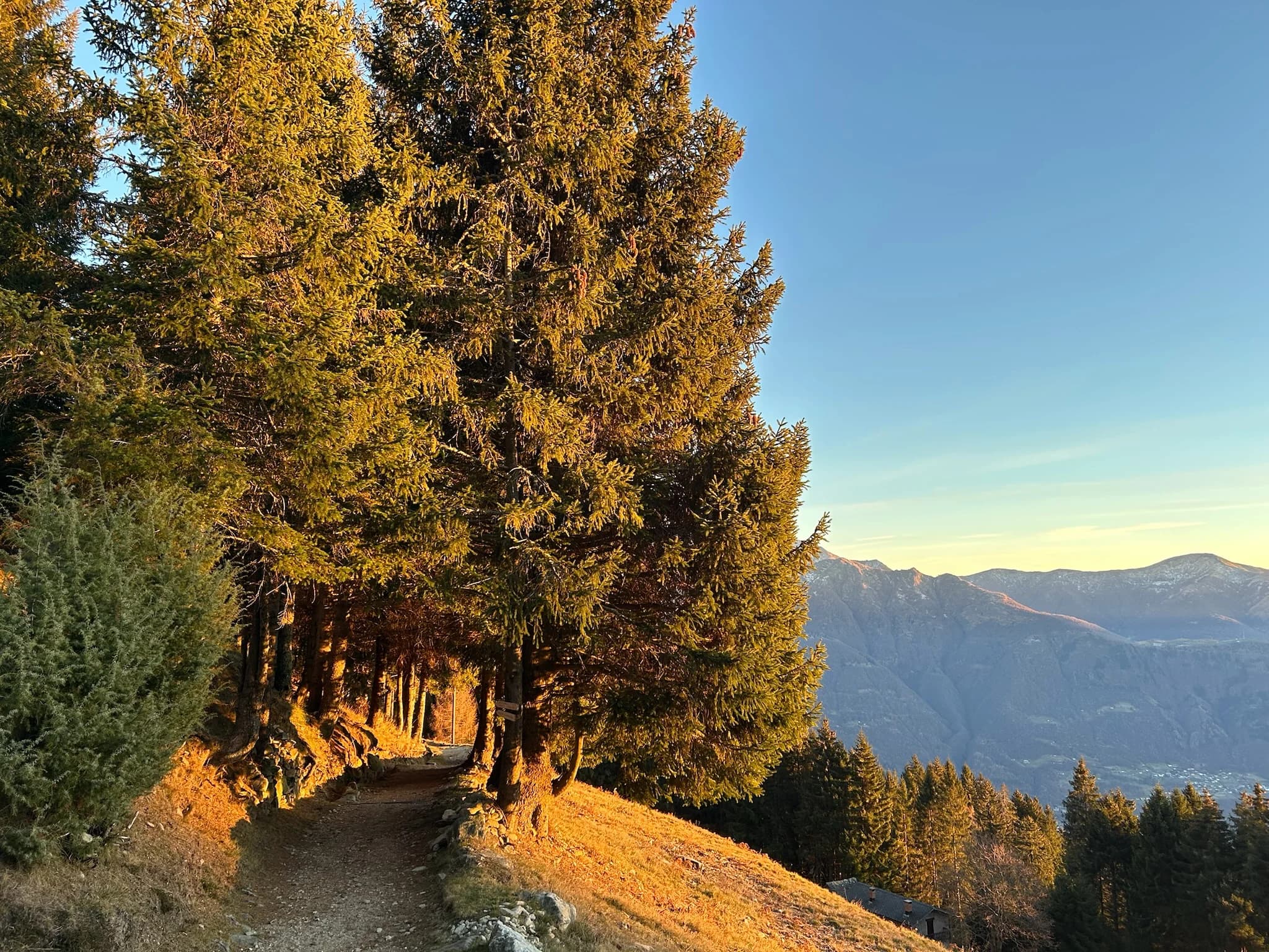 Golden forest trail above the valley
