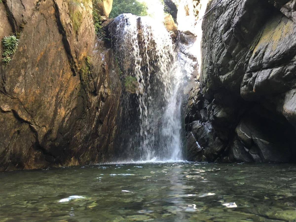 Forest waterfall near Gnosca