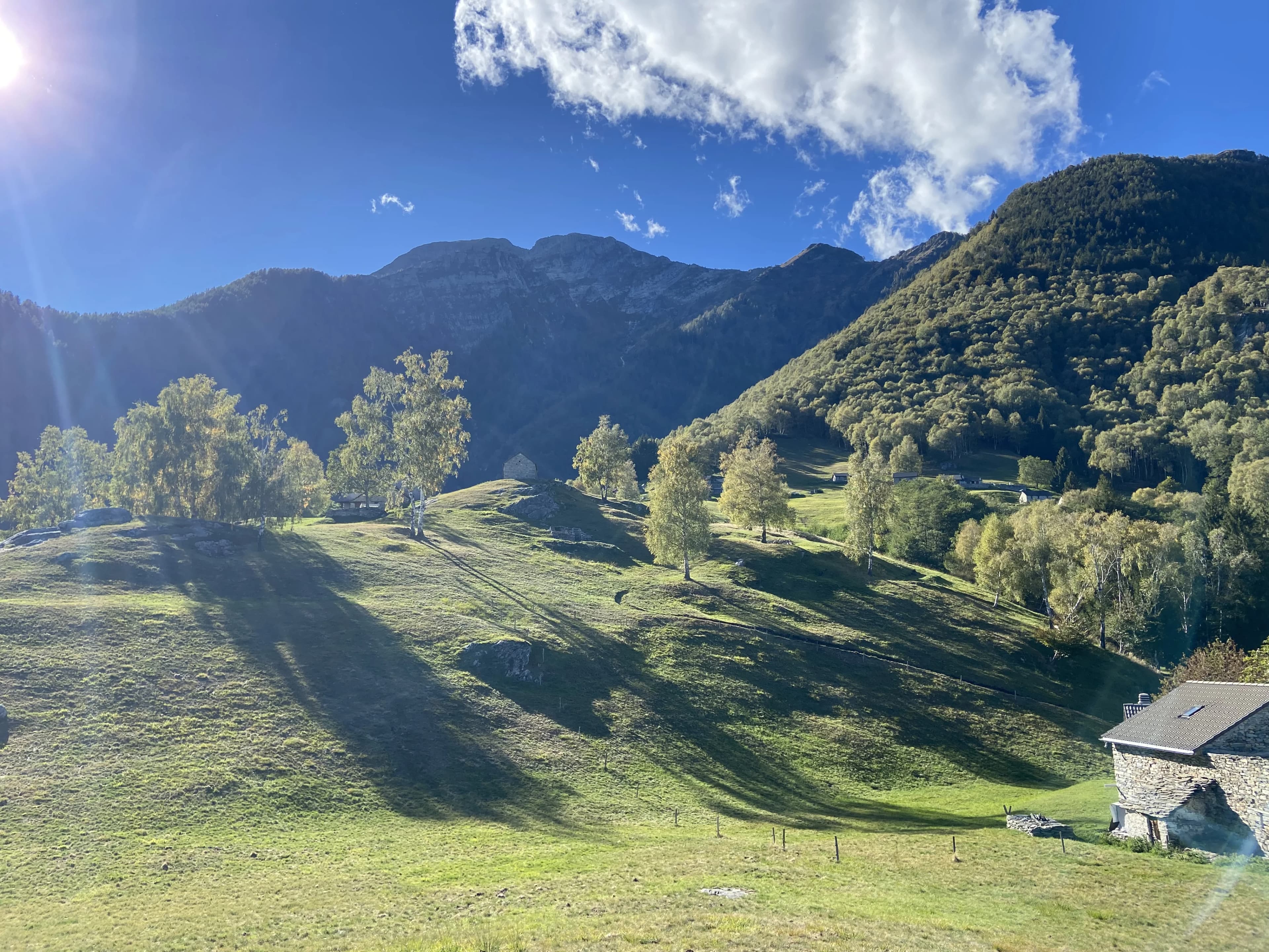 Sunny alpine meadow and mountain panorama