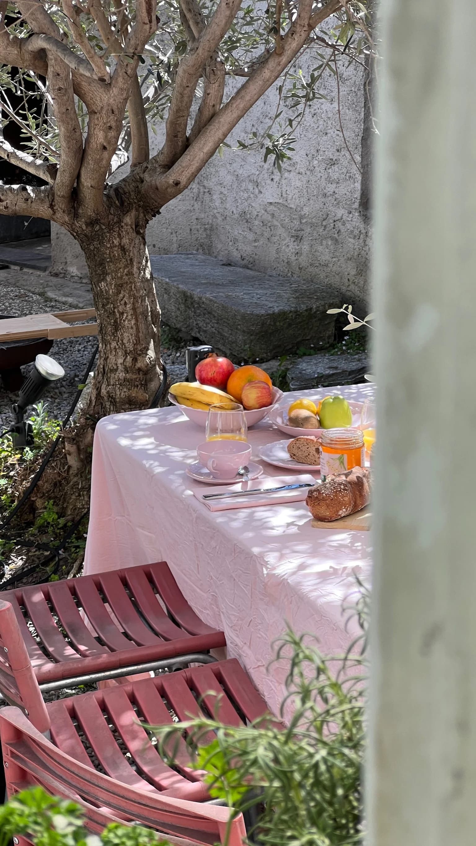 Breakfast table in the courtyard shade