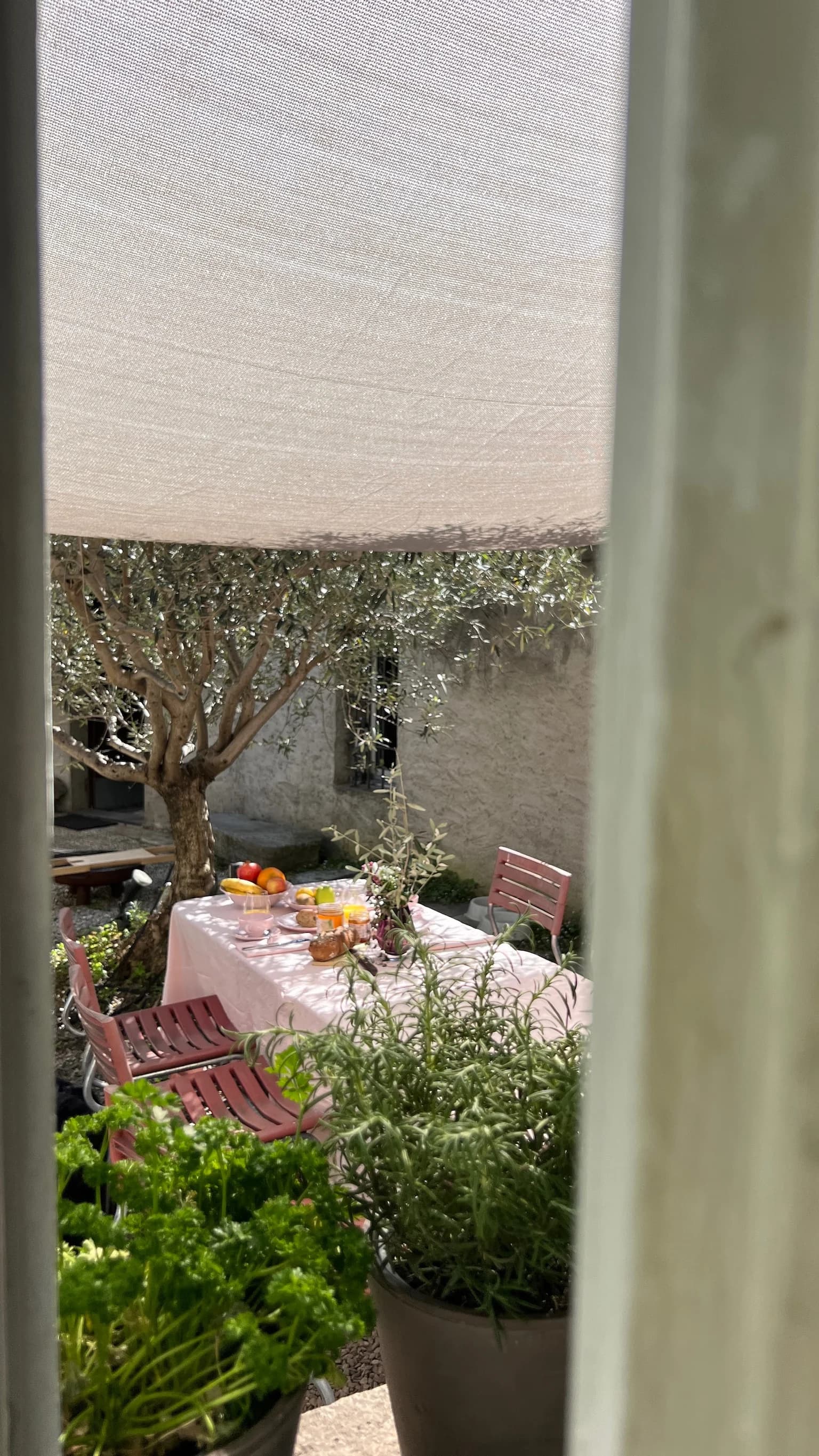 Courtyard breakfast table viewed from the window