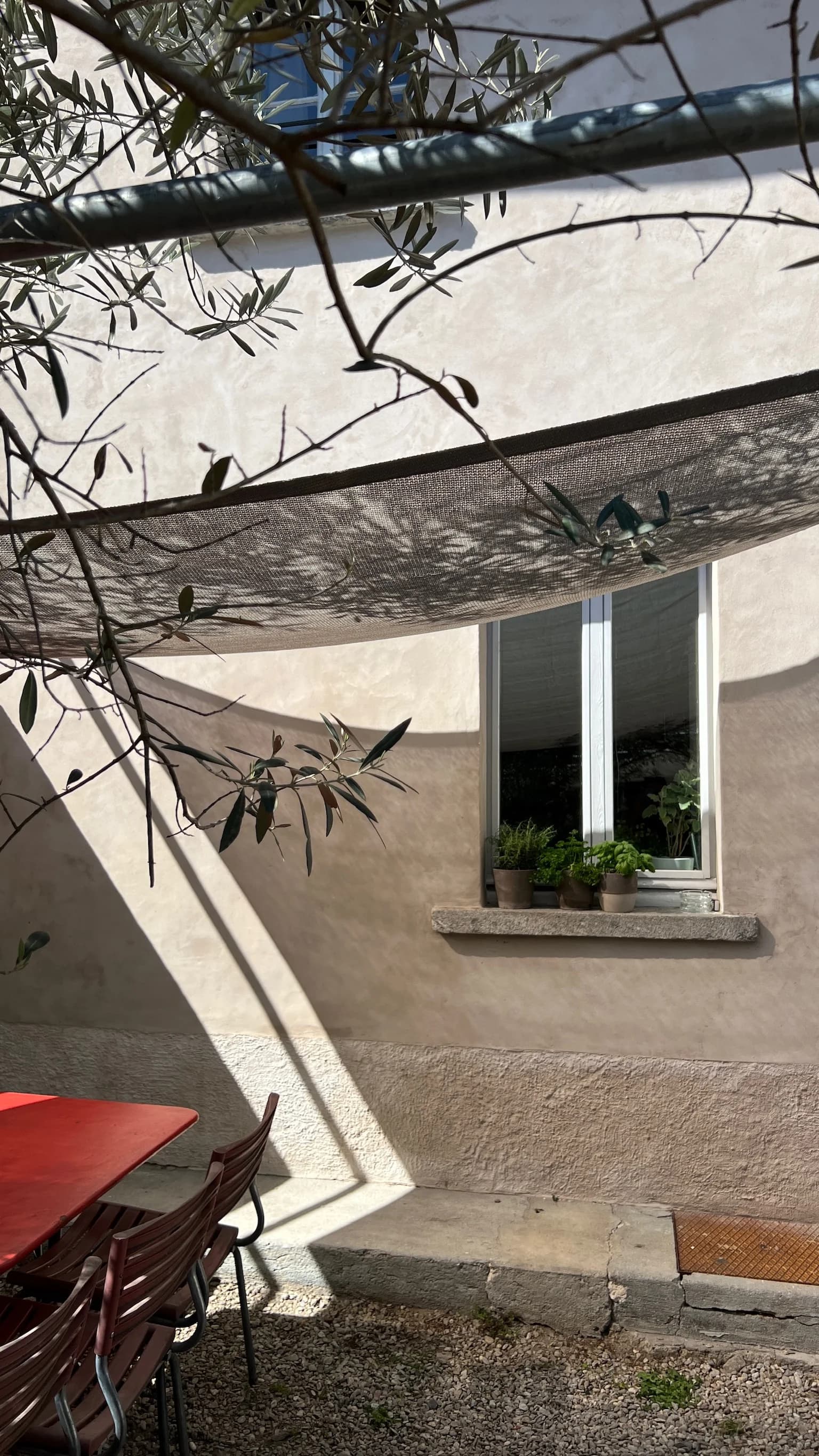 Sunlit courtyard facade with herbs on the sill